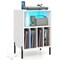 Record Player Stand with RGB LED Light Vinyl Storage Charging Station